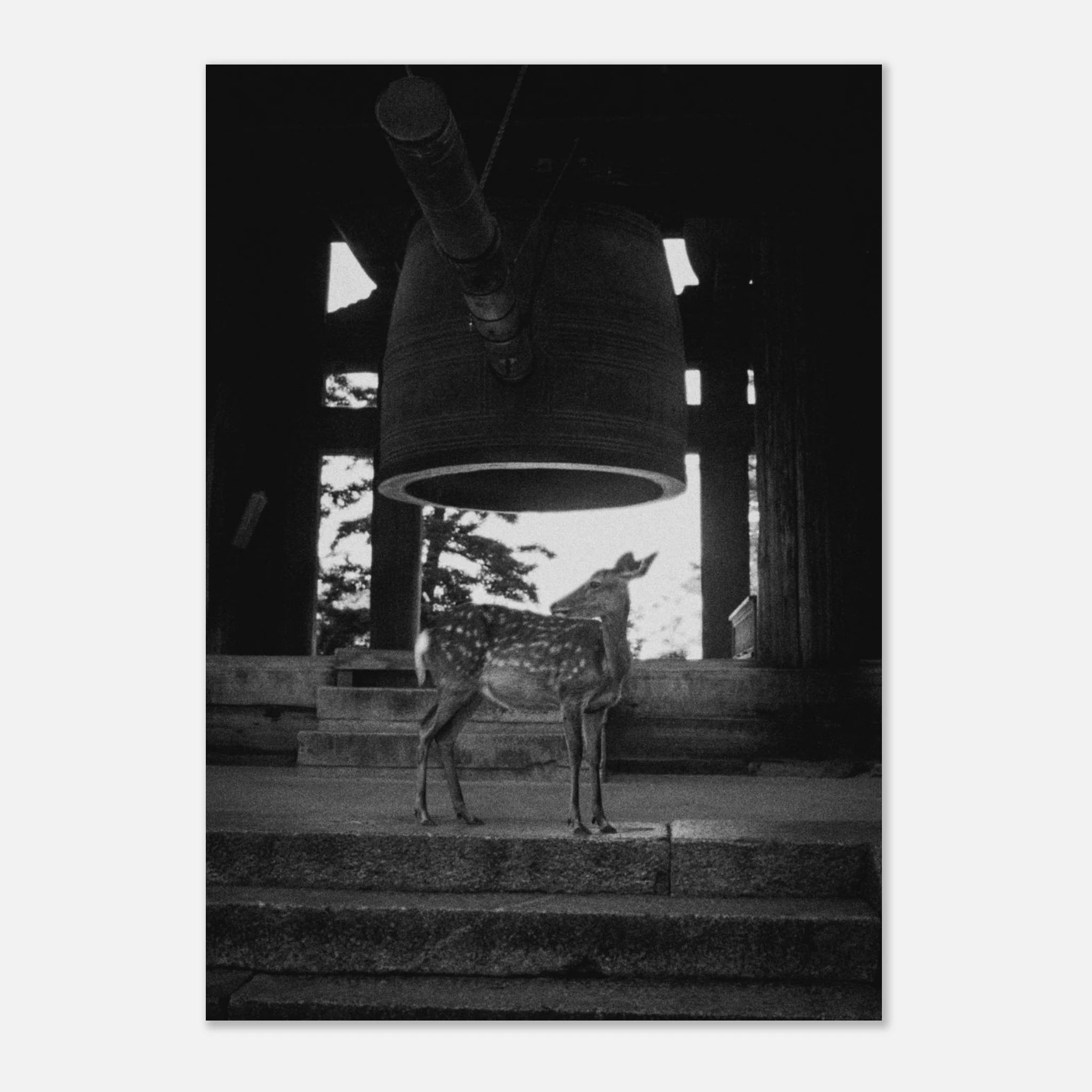 2658fdce-f05d-4841-83dd-8db8b9b7a512